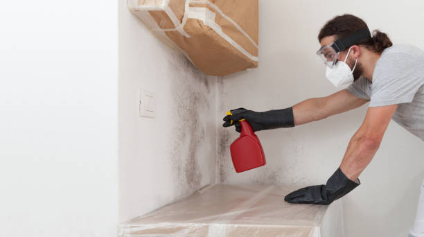 Professional Bathroom Mold Removal technician working in Lyons, OR